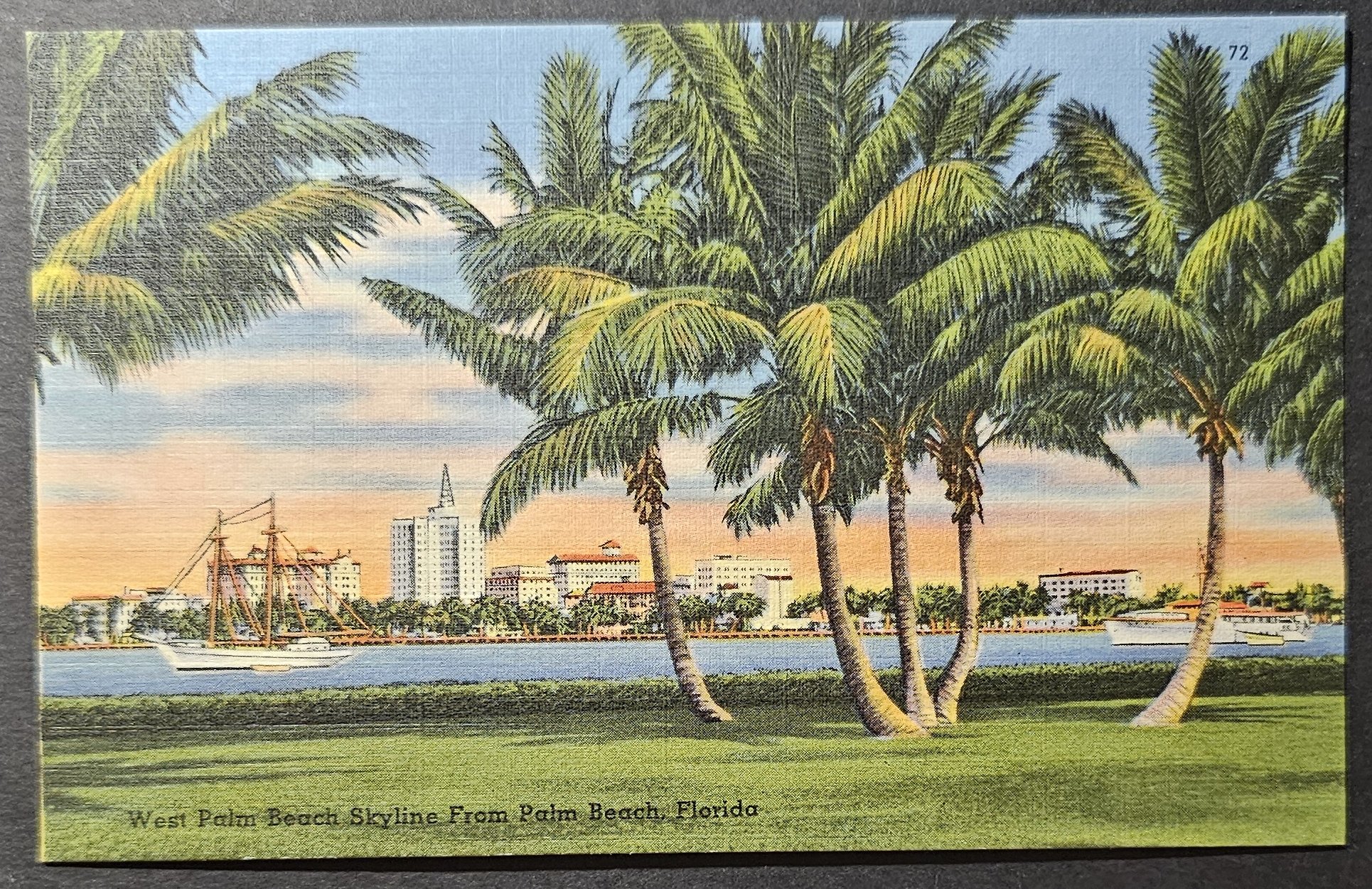 (image for) postcard USA - FL - Florida #0036